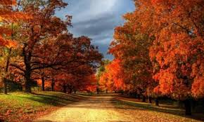 fall scene