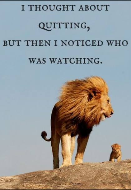 lion, courage, example, not quitting