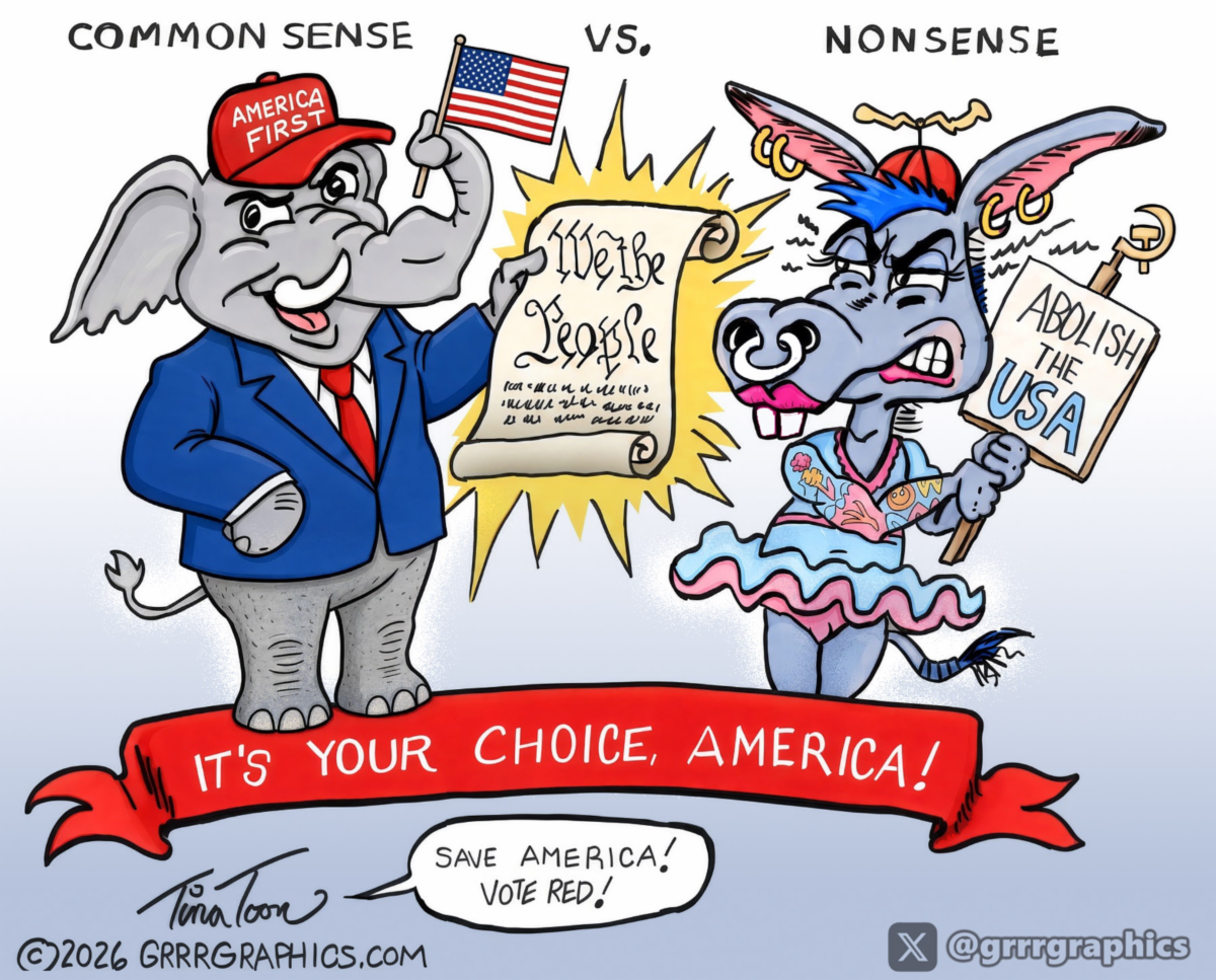 common sense vs DSA democrat nonsense